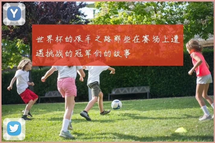 世界杯的艰辛之路那些在赛场上遭遇挑战的冠军们的故事