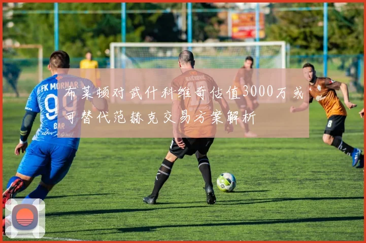 布莱顿对武什科维奇估值3000万或可替代范赫克交易方案解析